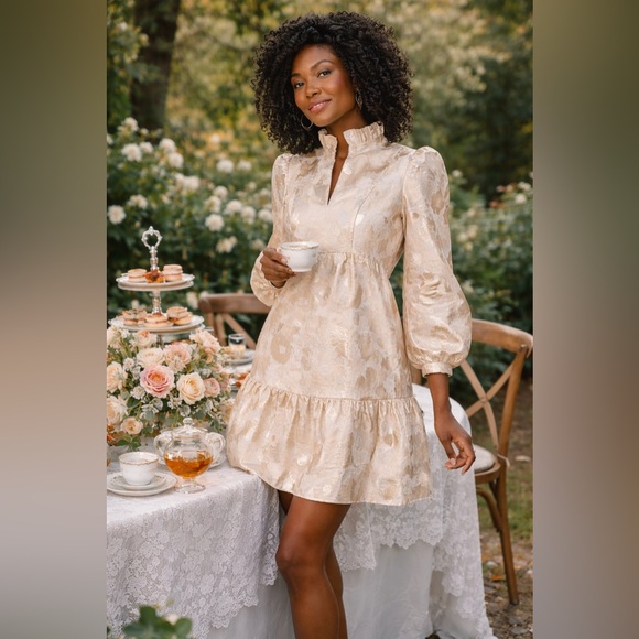 NWT Tuckernuck Palmerston Dress Small Champagne Gold Fil Coupé Tiered Midi Party - Picture 13 of 13